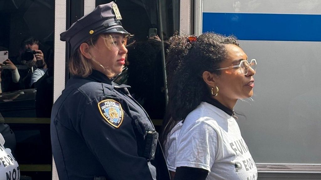 Mamdani-backed, socialist House nominee arrested at UN summit in NYC