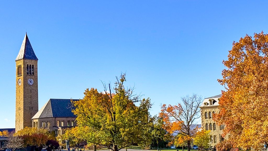 Cornell PD Email Shows Frustration with Officials Ignoring Frat Drinking Violations