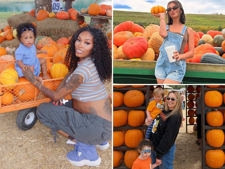 Celebrity Pumpkin Pics 2026