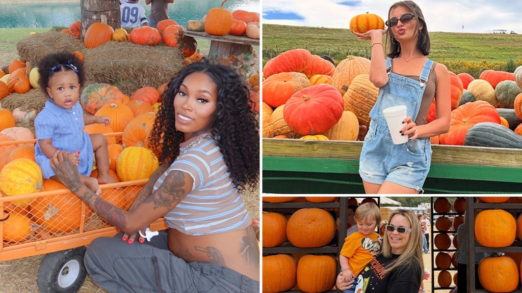 Stars Hit the Pumpkin Patch and Beyond