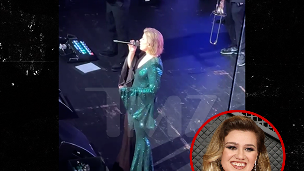 Kelly Clarkson Stops Orlando Show to Help Fan in Medical Distress