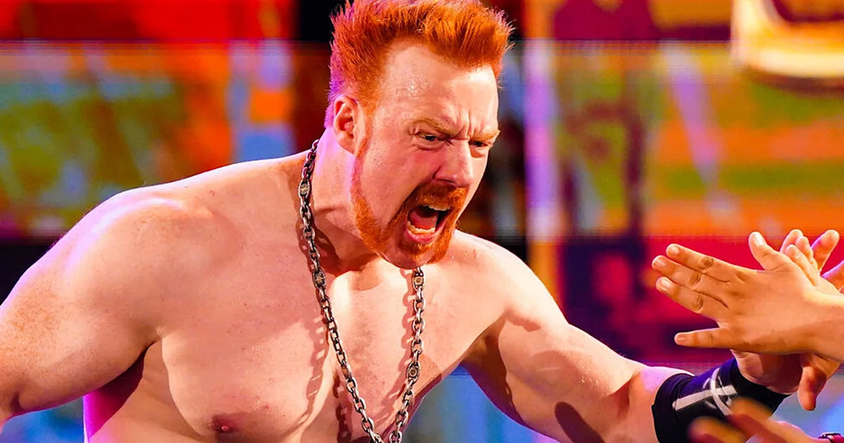 Latest On Sheamus To AEW Rumours (AEW News)